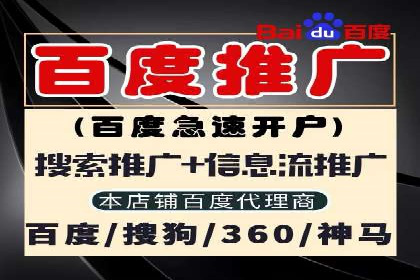 谷歌竞价广告的实时监控与调整策略——某公司经验分享